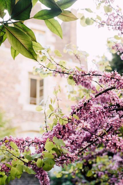 렌 Castel Jolly B&B 외부 사진