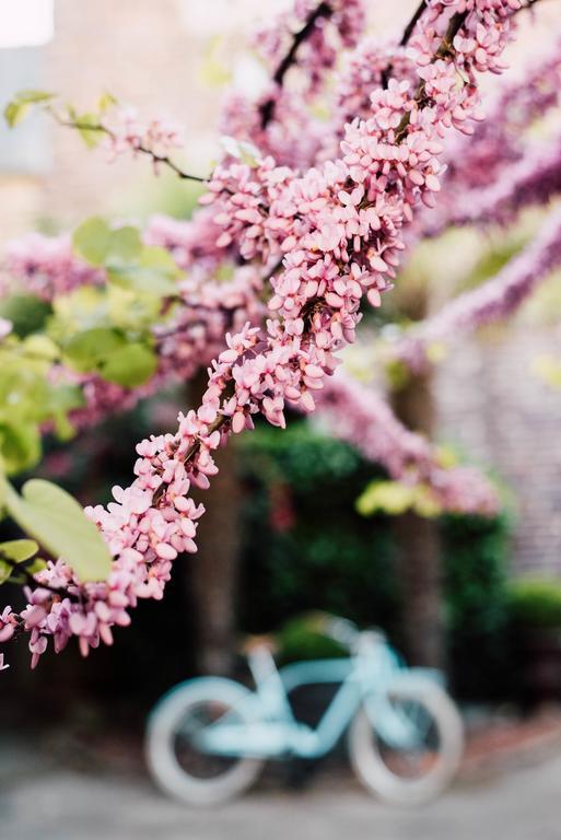 렌 Castel Jolly B&B 외부 사진